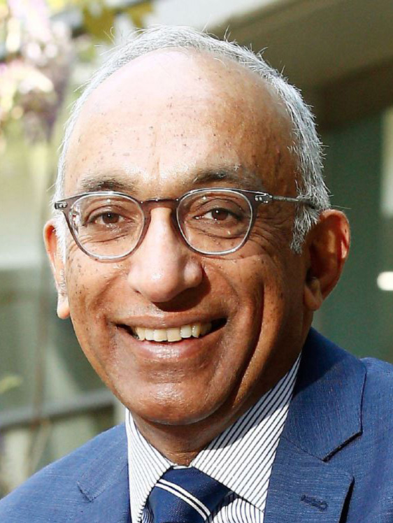 Emeritus Professor Rakesh Kumar UNSW Research